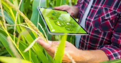 Imagem do post de destaque