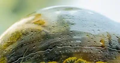 Imagem card com fundo